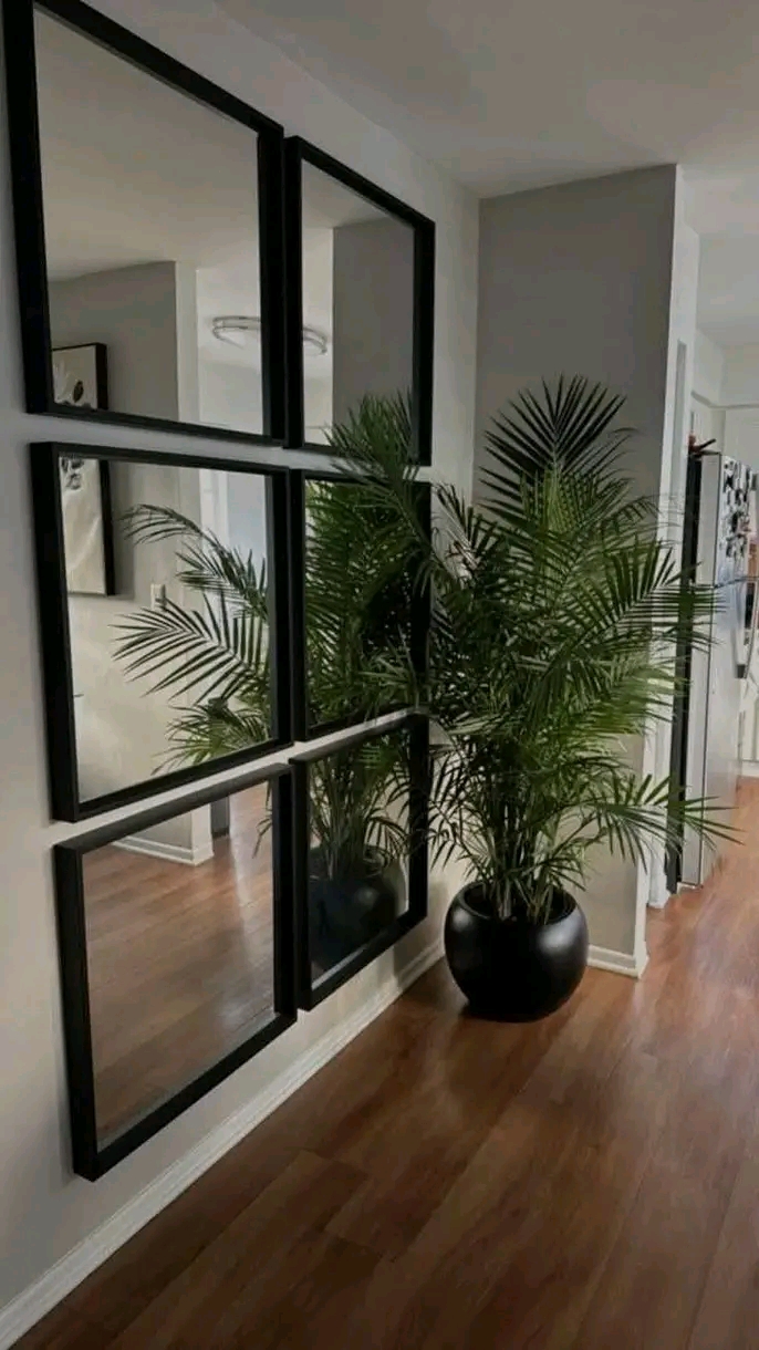 Live plants